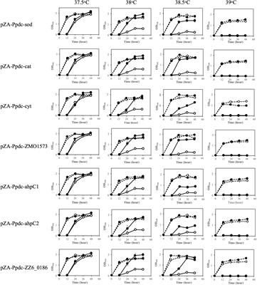 Improvement of Thermotolerance of Zymomonas mobilis by Genes for Reactive Oxygen Species-Scavenging Enzymes and Heat Shock Proteins